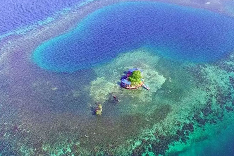 Bird Island- Belize 1