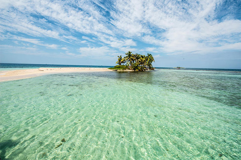 Bird Island- Belize 4